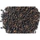 Black Pepper