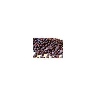 Black Mustard Seeds