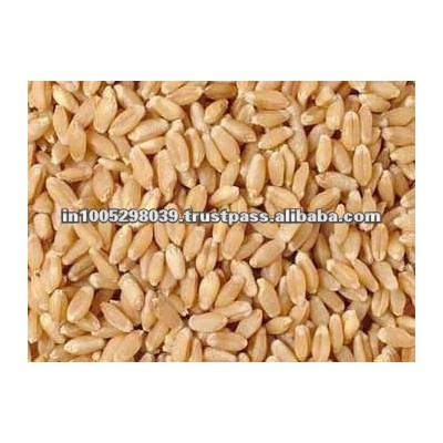 Soft Wheat