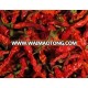 Fresh/Dried Chili/Red Pepper at affordable prices