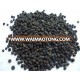 VIETNAM BLACK PEPPER