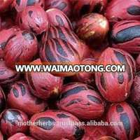 Nutmeg Spice Wholesale